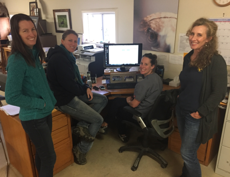 Four women gather around a staff computer workstation in a wildlife center office.