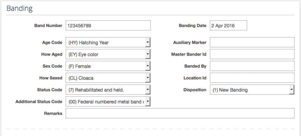 WRMD banding form with band number and date, age and sex codes with how each was determined, status code and disposition.