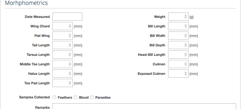 WRMD morphometrics form for weight, wing, tail, tarsus, toe and bill measurements in millimeters, plus samples collected.