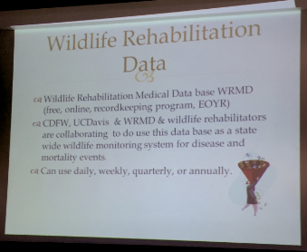 Slide describing WRMD as a free online records database CDFW, UC Davis and wildlife rehabilitators aim to use for statewide monitoring.