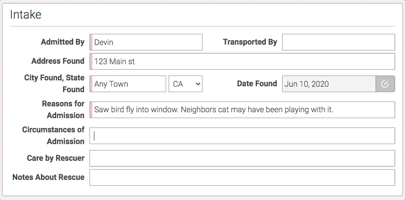 Animated intake form where Window / Wall collision and a suspected Cat interaction are tagged as circumstances of admission.