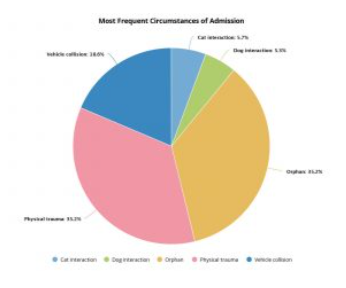 Pie chart of the most frequent circumstances of admission, dominated by orphans, physical trauma and vehicle collisions.