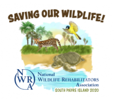 NWRA South Padre Island 2020 symposium artwork of an ocelot, sea turtle and songbird beneath the words Saving Our Wildlife.