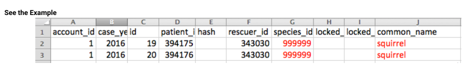 Spreadsheet export in which unidentified squirrels carry a species_id of 999999, highlighted in red.