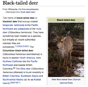Wikipedia article on the black-tailed deer, a subspecies of mule deer, with a photo of a male.