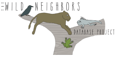 A raven, mountain lion, iguana and frog sharing a tree branch.