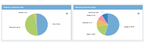 Species overview pie charts of patients by taxonomic class and by group, led by songbirds and raptors.