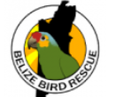 Belize Bird Rescue logo.