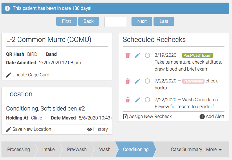 OWRMD patient screen for a common murre in the Conditioning stage, with its pen location and scheduled rechecks.