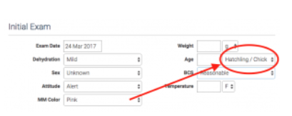 WRMD initial exam form with an arrow pointing to the Age field set to Hatchling / Chick.