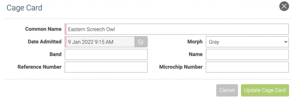 Cage card for an Eastern Screech Owl with the new Morph dropdown set to Gray.