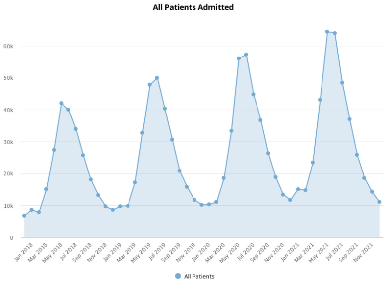 Chart of patients admitted each month from 2018 to 2021, peaking every May or June, with each year's peak higher than the last.