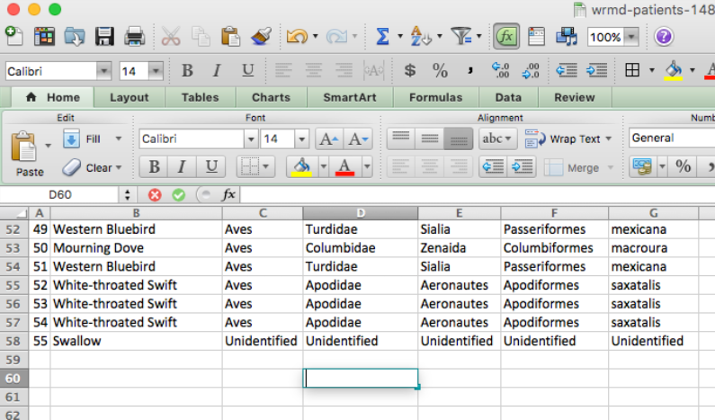 Exported patient spreadsheet where a “Swallow” entry shows Unidentified for class, order, family, genus and species.